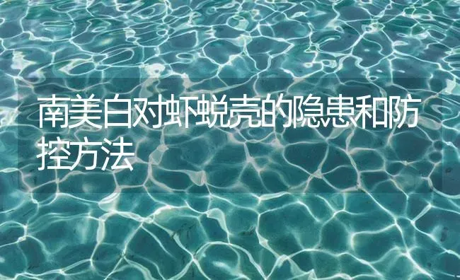 南美白对虾蜕壳的隐患和防控方法 | 海水养殖