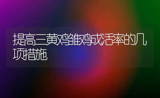 提高三黄鸡雏鸡成活率的几项措施 | 家禽养殖