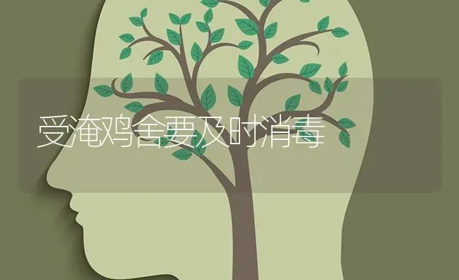 受淹鸡舍要及时消毒 | 家禽养殖