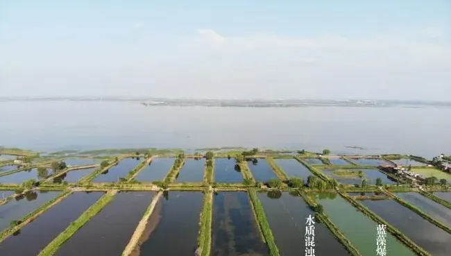一张航拍图片告诉你，河蟹五壳面临的最大威胁