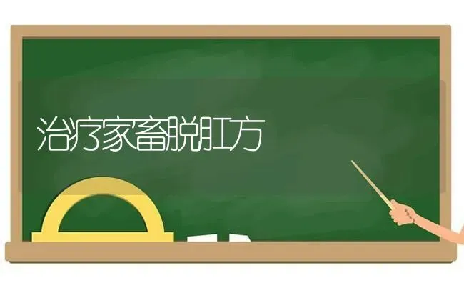 治疗家畜脱肛方 | 家畜养殖