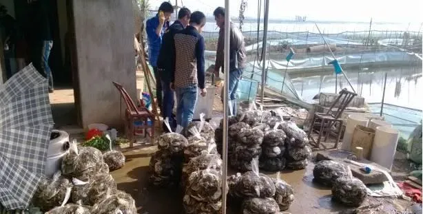 增氧对河蟹养殖，不仅仅是增产