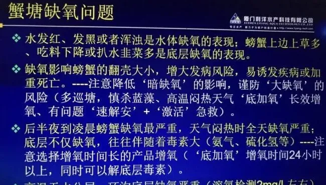 高温期河蟹养殖户如何科学有效增氧，防缺氧 