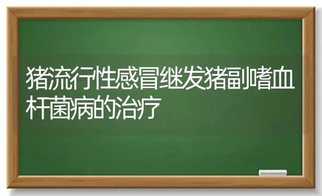 猪流行性感冒继发猪副嗜血杆菌病的治疗 | 家畜养殖