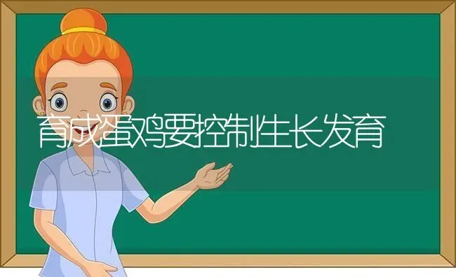 育成蛋鸡要控制生长发育 | 家禽养殖
