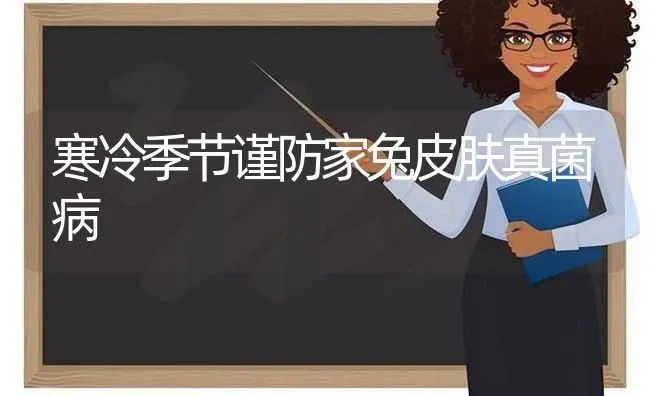 寒冷季节谨防家兔皮肤真菌病 | 家畜养殖