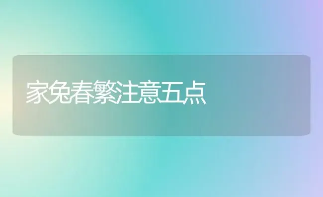 家兔春繁注意五点 | 家畜养殖