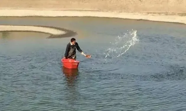 北方地区水花培育技术关键点