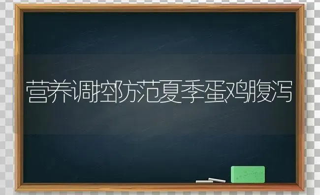 营养调控防范夏季蛋鸡腹泻 | 家禽养殖