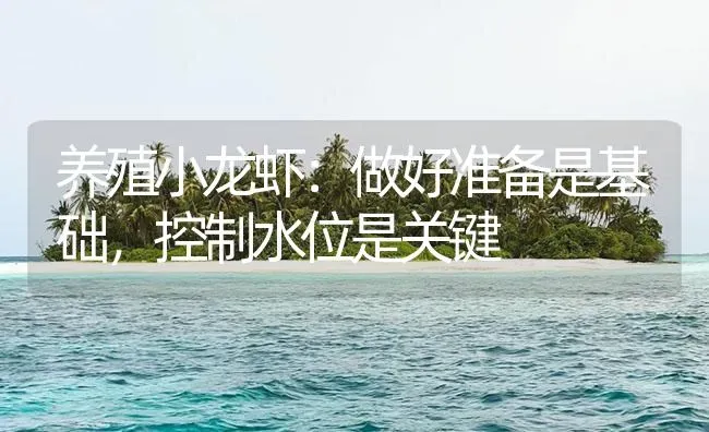 养殖小龙虾：做好准备是基础，控制水位是关键 | 海水养殖