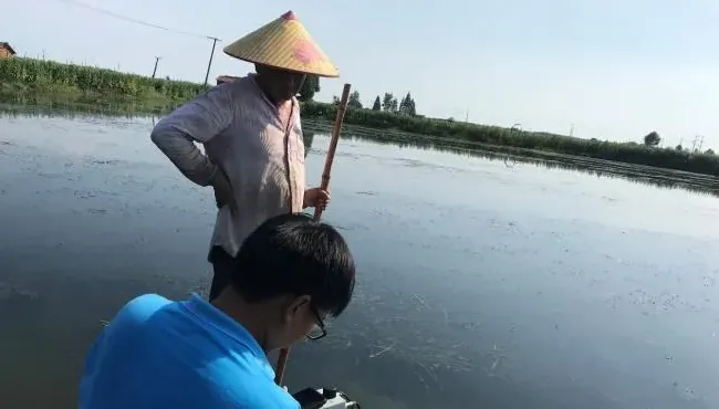 一张航拍图片告诉你，河蟹五壳面临的最大威胁