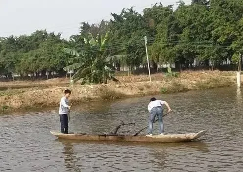 有多少人在调水养水这条路上越走越偏