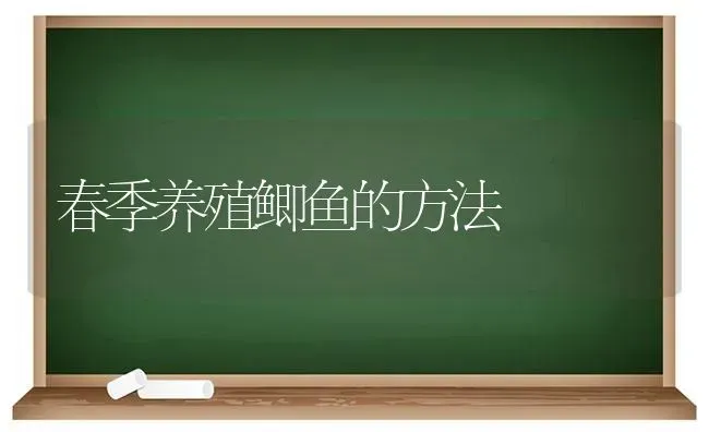 春季养殖鲫鱼的方法 | 淡水养殖