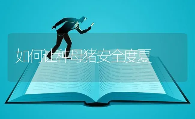 如何让种母猪安全度夏 | 家畜养殖