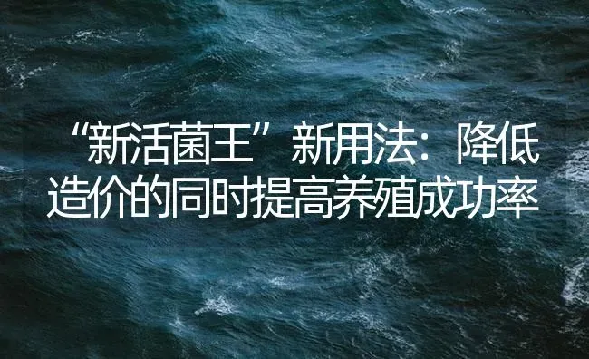 “新活菌王”新用法：降低造价的同时提高养殖成功率 | 海水养殖