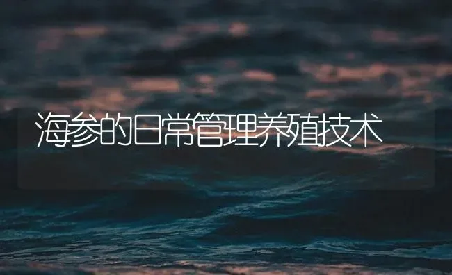 海参的日常管理养殖技术 | 海水养殖