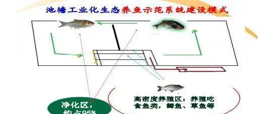 江苏省池塘工业化生态养殖系统建设与生产运行技术要点