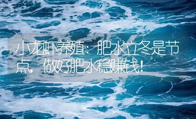 小龙虾养殖：肥水立冬是节点，做好肥水稳赚钱！ | 海水养殖