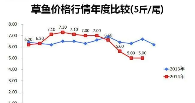 江苏宿迁草鱼养殖户王老板：鱼价低迷照样能赚钱