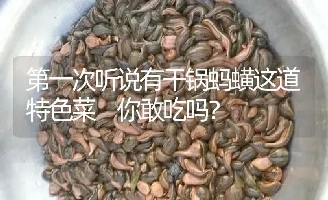 第一次听说有干锅蚂蟥这道特色菜 你敢吃吗？ | 特种养殖