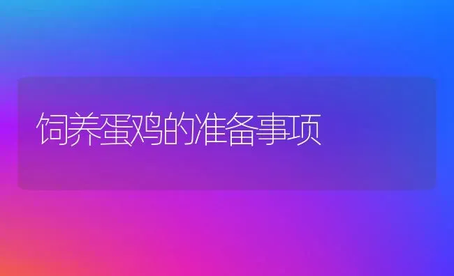饲养蛋鸡的准备事项 | 家禽养殖