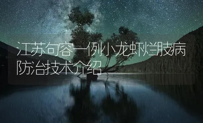 江苏句容一例小龙虾烂肢病防治技术介绍 | 养殖病虫害防治