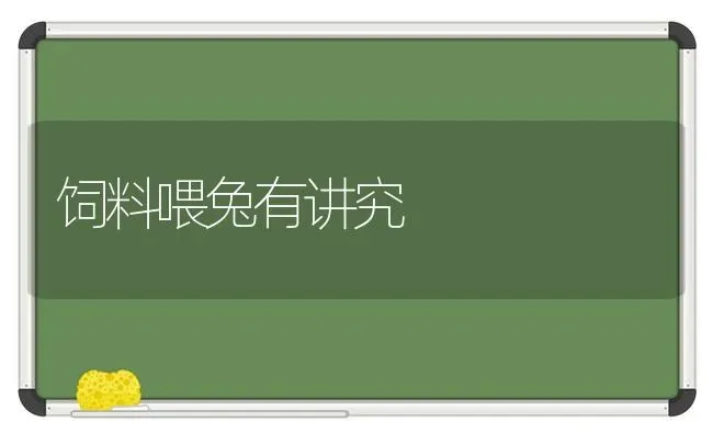 饲料喂兔有讲究 | 动物养殖饲料