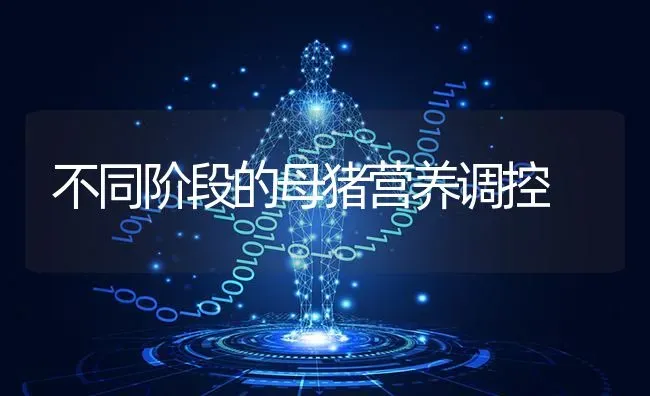 不同阶段的母猪营养调控 | 家畜养殖