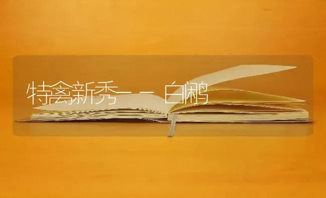特禽新秀--白鹇 | 家禽养殖