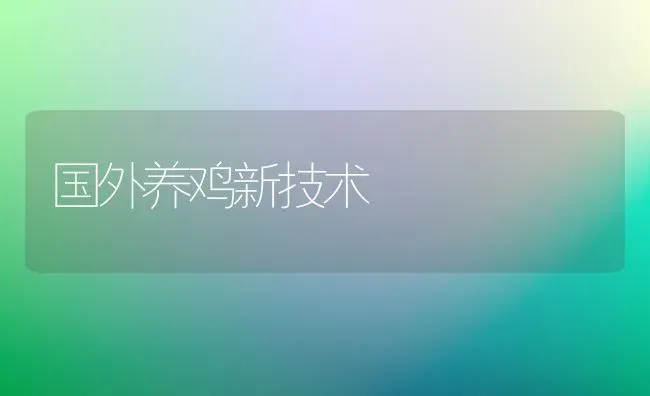 国外养鸡新技术 | 家禽养殖
