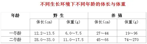 黄鳝健康高效养殖全程操作指南（二）