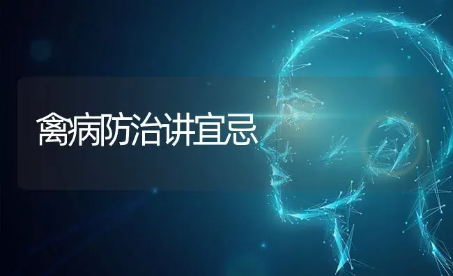 禽病防治讲宜忌 | 家禽养殖