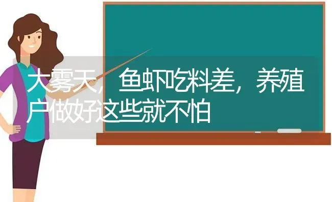 大雾天，鱼虾吃料差，养殖户做好这些就不怕 | 动物养殖百科