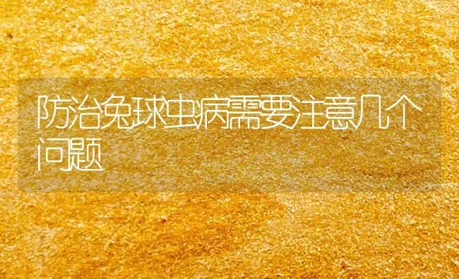 防治兔球虫病需要注意几个问题 | 家畜养殖