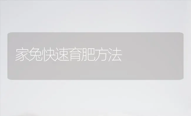 家兔快速育肥方法 | 家畜养殖