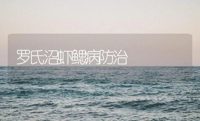 罗氏沼虾鳃病防治 | 海水养殖