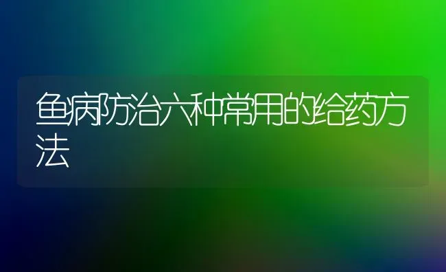 鱼病防治六种常用的给药方法 | 养殖病虫害防治