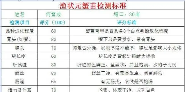 今年河蟹苗产量低，年前分流放苗更合理省钱