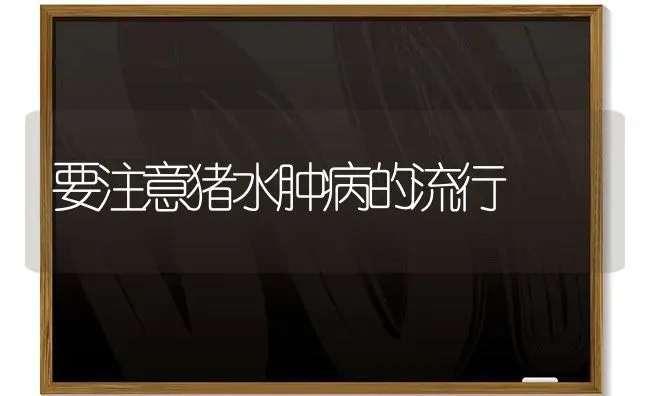 要注意猪水肿病的流行 | 家畜养殖