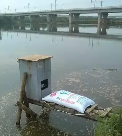 益水藻元调节养殖池塘油膜水案例分享