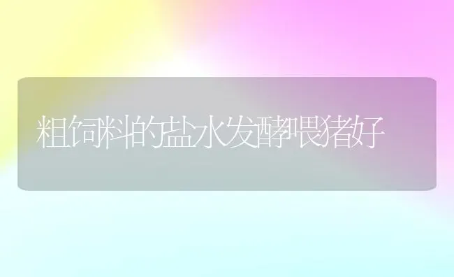 粗饲料的盐水发酵喂猪好 | 家畜养殖