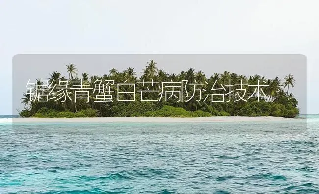 锯缘青蟹白芒病防治技术 | 海水养殖