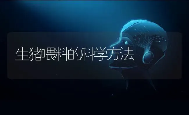 生猪喂料的科学方法 | 家畜养殖
