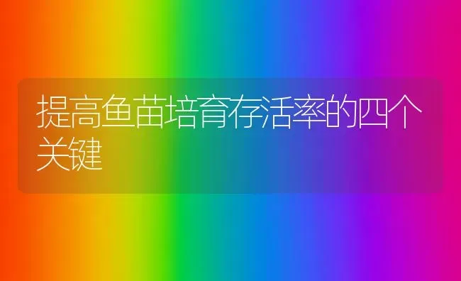 提高鱼苗培育存活率的四个关键 | 淡水养殖
