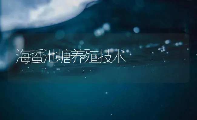 海蜇池塘养殖技术 | 海水养殖