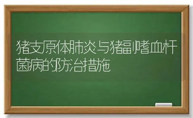 猪支原体肺炎与猪副嗜血杆菌病的防治措施 | 家畜养殖