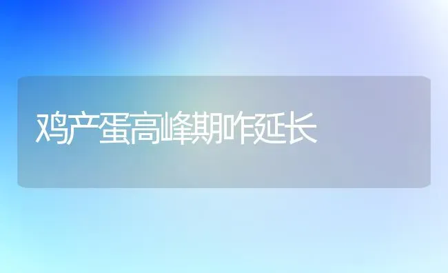 鸡产蛋高峰期咋延长 | 家禽养殖