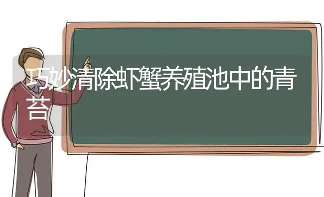 巧妙清除虾蟹养殖池中的青苔 | 动物养殖百科