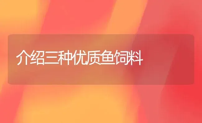 介绍三种优质鱼饲料 | 动物养殖饲料