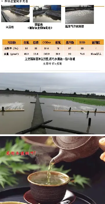 水产专家何中央详解中华鳖主要养殖模式与技术